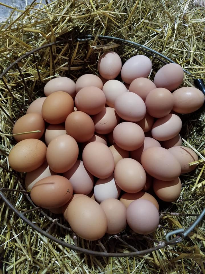 A basket filled with freshly collected brown eggs resting on a bed of straw, showcasing the abundance of farm-fresh produce.